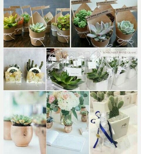 Mi date qualche idea? - 5