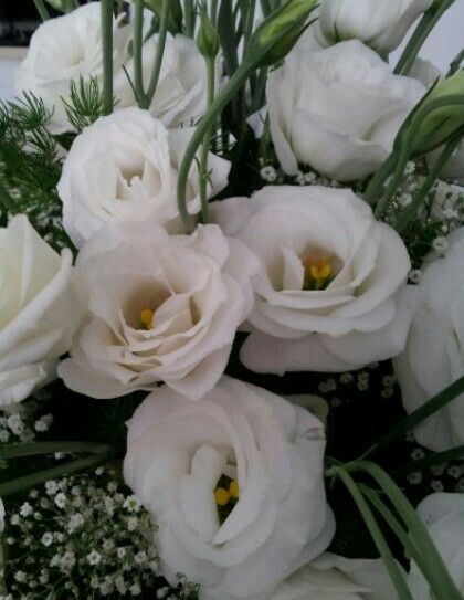 I nostri fiori - 2
