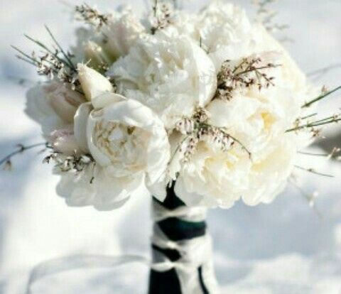 Matrimonio tema inverno - 12