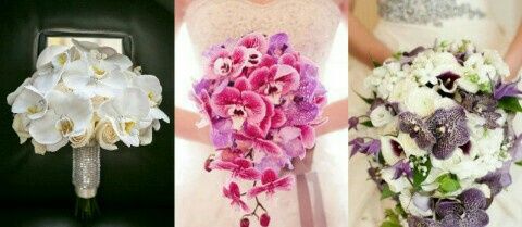 Matrimonio tema orchidee - 5