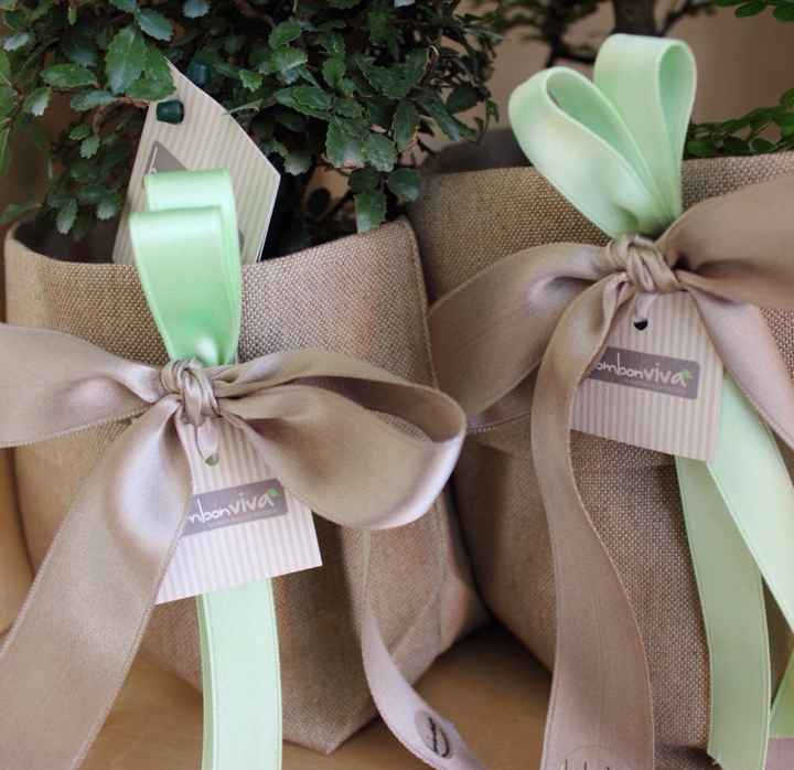 Mi serve un parere urgente! - 1