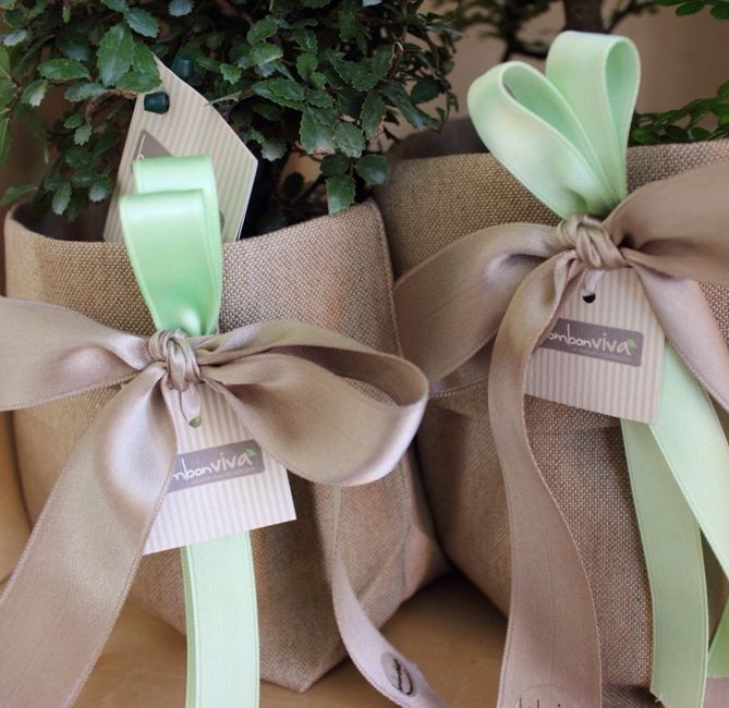 Mi serve un parere urgente! - 1