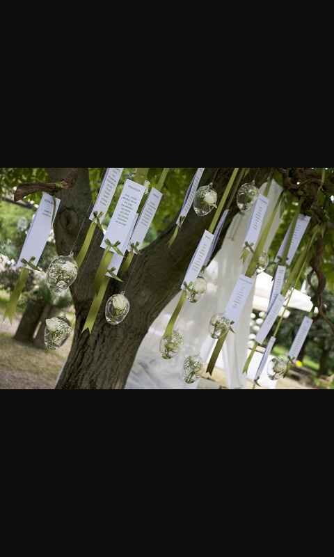 Le scelte fatte per il mio matrimonio - 1