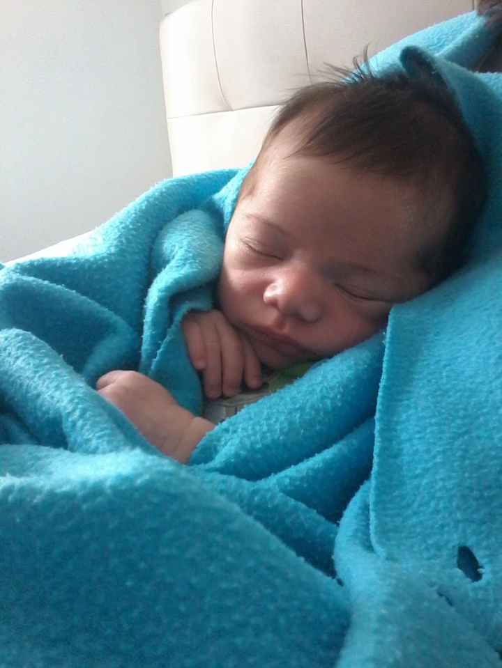 Benvenuto 8° mese - 1