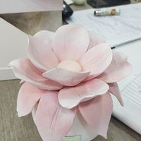 Bomboniere.... possiamo vedere? - 1