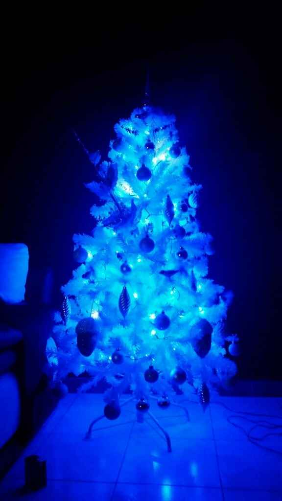 Il nostro primo natale in casa nostra - 1