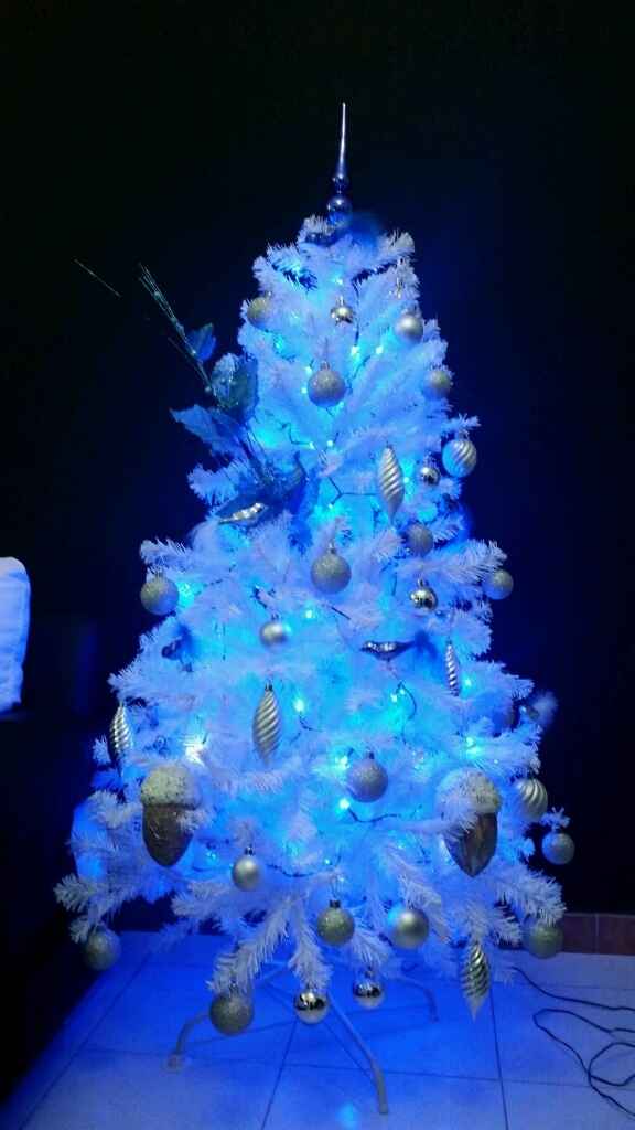 Il nostro primo natale in casa nostra - 2