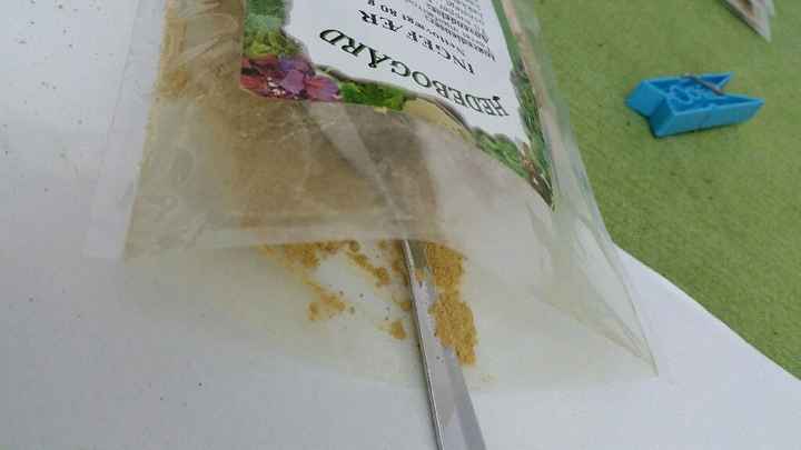 Pomeriggio produttivo - 1