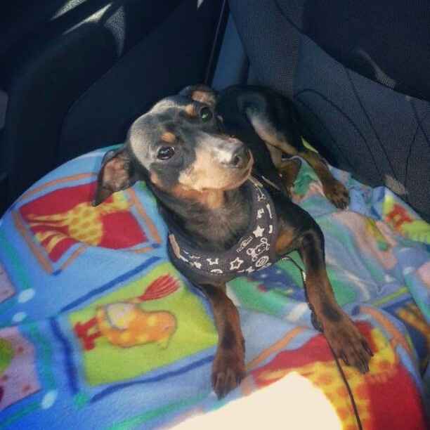 Il regalo più prezioso - 1