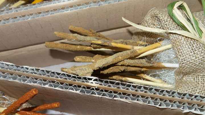 A -17 tableau in dirittura d'arrivo - 1