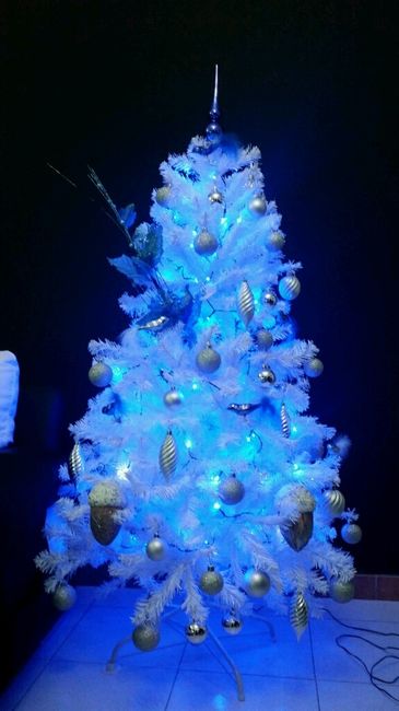 Il nostro primo natale in casa nostra - 2