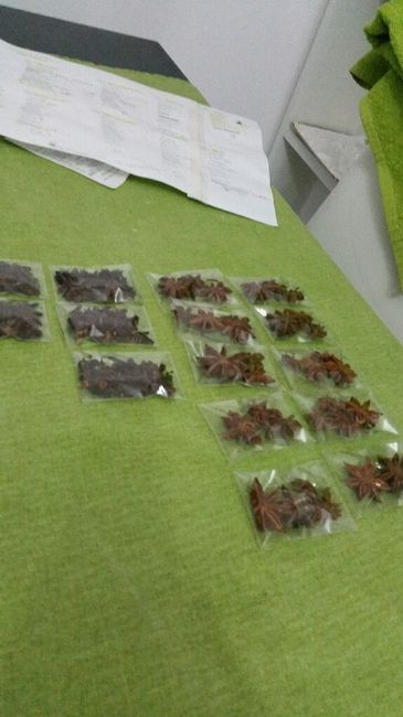 Pomeriggio produttivo - 3