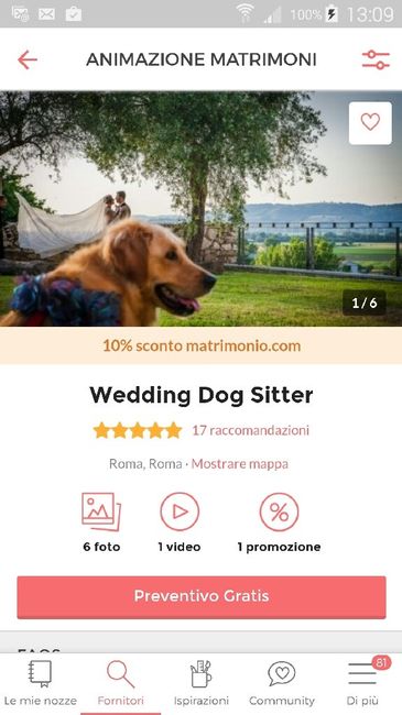 Wedding dog sitter napoli - 1