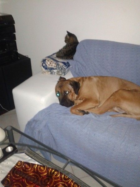 Oggi vi presento i nostri "mimmi" :) - 1