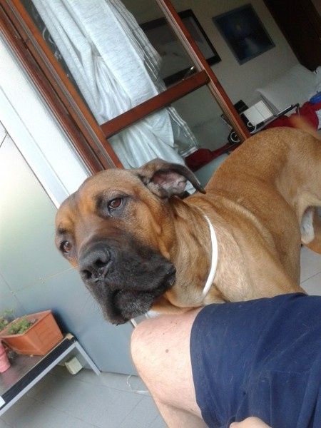 Oggi vi presento i nostri "mimmi" :) - 1