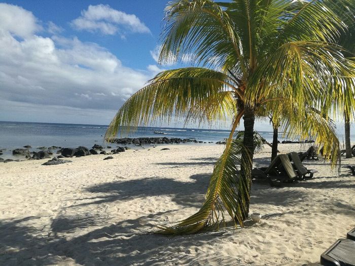 Mauritius! - 1