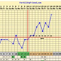 Aspiranti pancine di giugno 🌻 - 1