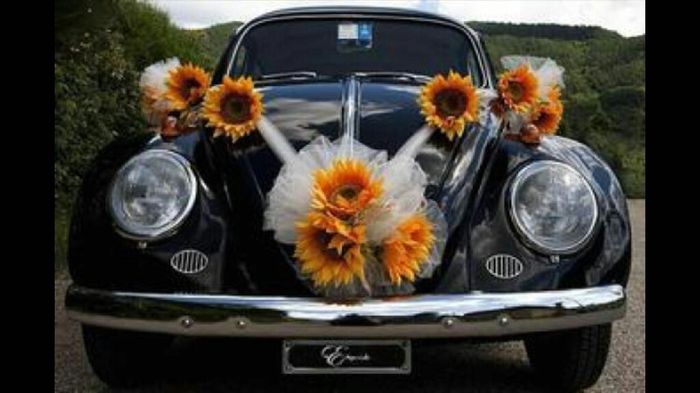 Decorazione auto - 1