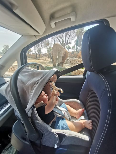 Future Mamme Aprile 2024 - 5