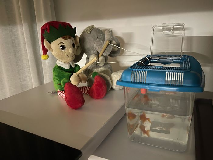 Elf on the shelf, di nuovo a corto di idee 8