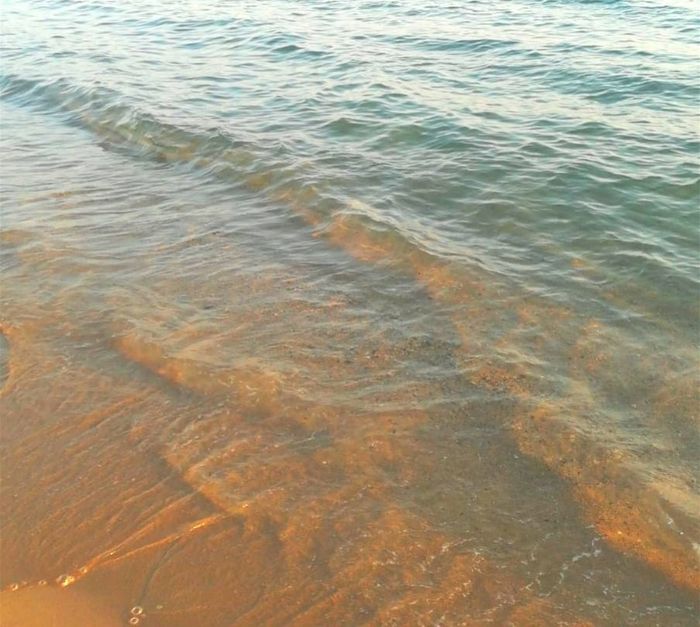 Il racconto delle mie nozze 1