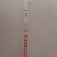 Chi non le aspetta per Settembre 2023 - 1