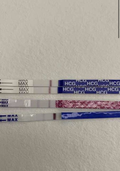 Chi non le aspetta per febbraio 2023 💪🏻❄️🍀🐞🥰 3