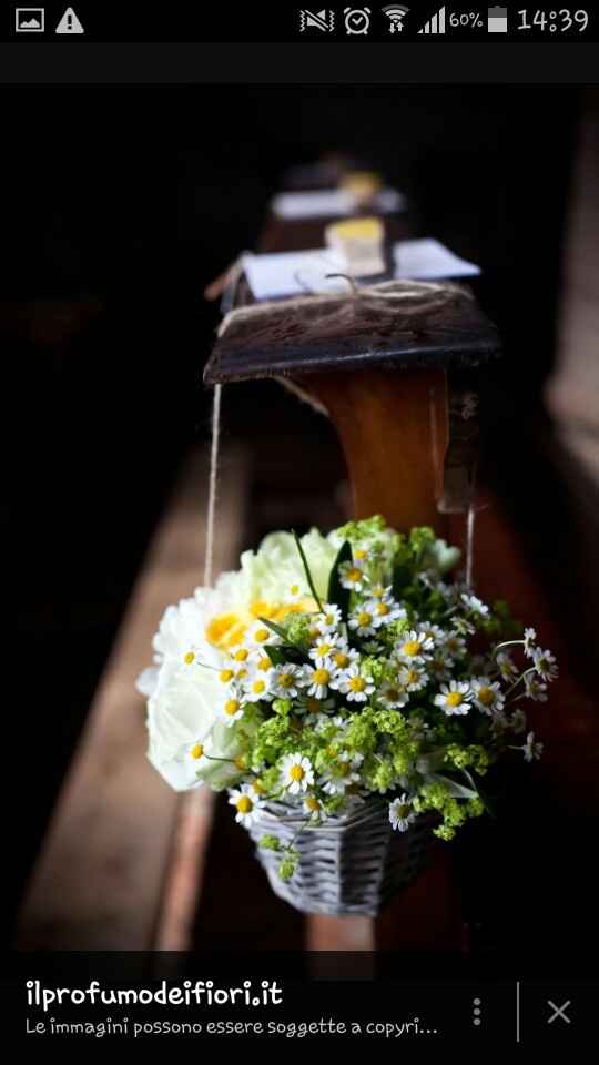 Fiore camomilla: si o no? - 1