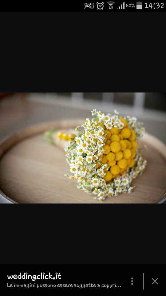 Quanto avete pagato per il vostro bouquet? - 1