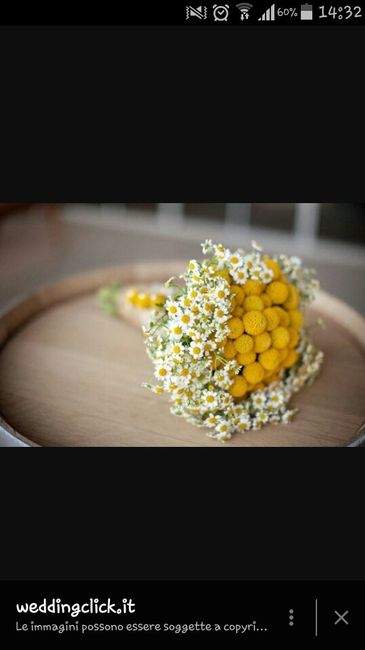 Quanto avete pagato per il vostro bouquet? - 1