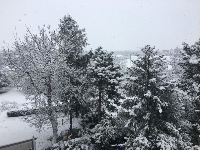 -43 e a Napoli nevica😱 - 2