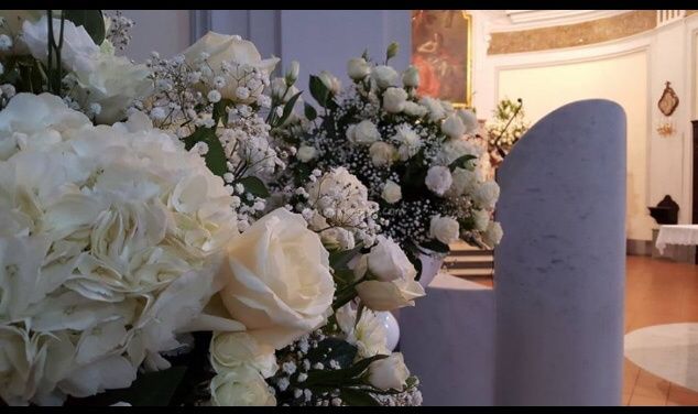 Fiori total white - 1