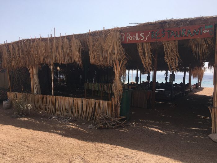 Sharm che sorpresa 😮 - 2