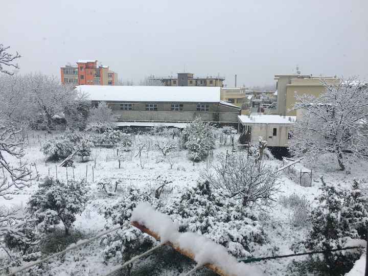 -43 e a Napoli nevica😱 - 1