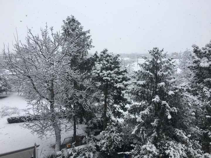 -43 e a Napoli nevica😱 - 2