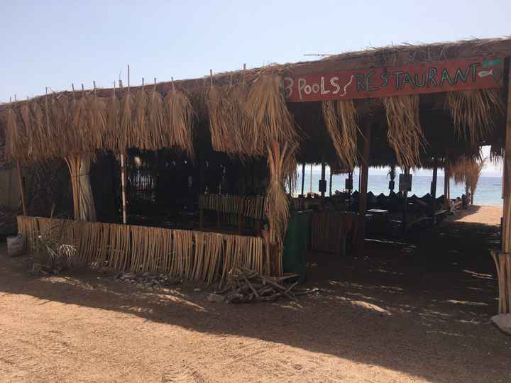 Sharm che sorpresa 😮 - 2