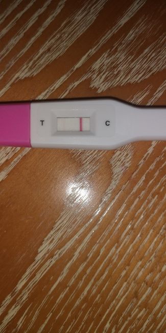 Chi non le aspetta per gennaio 2020 - 1