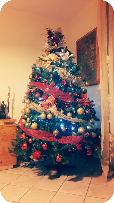 Il vostro albero di Natale! - 1