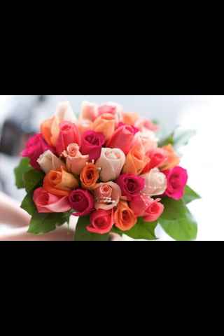 Tema bianco e pesca....e se.... - 1