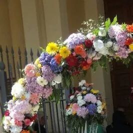 Tema bianco e pesca....e se.... - 1