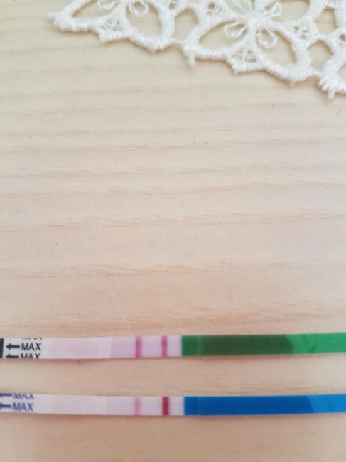 Test canadese di gravidanza - 1