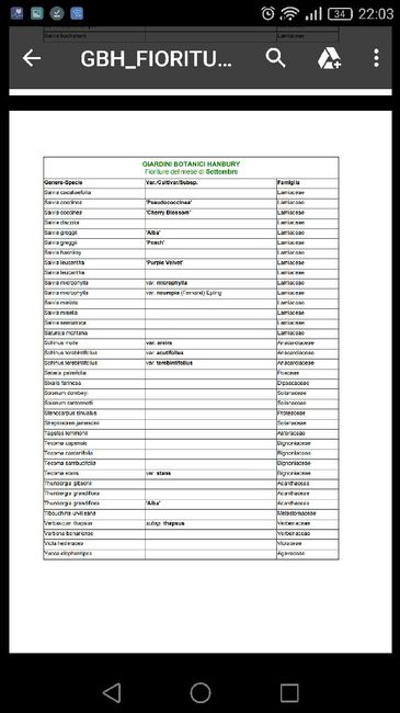 Fiori  fine settembre/inizio Ottobre? 💐🌸🌼 - 1