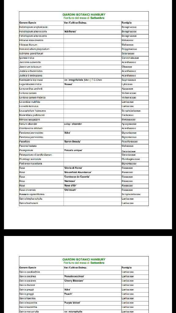 Fiori  fine settembre/inizio Ottobre? 💐🌸🌼 - 2