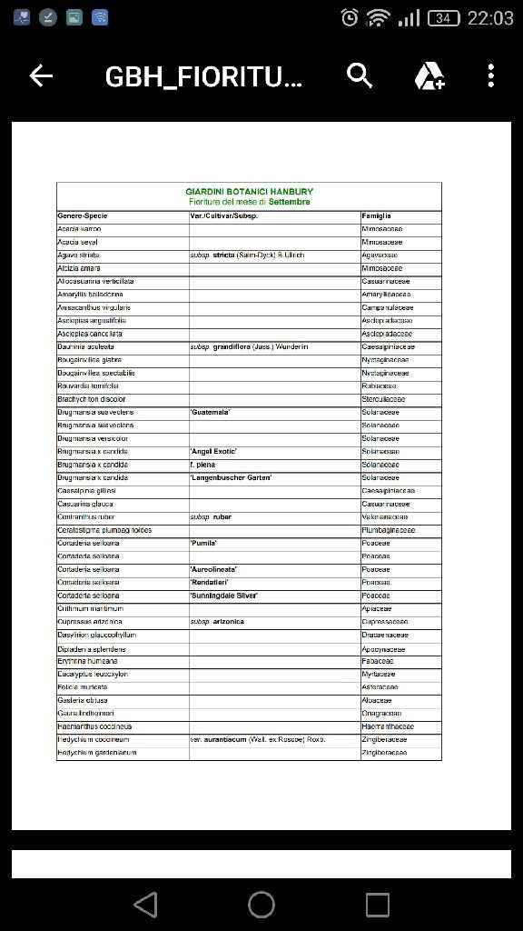 Fiori  fine settembre/inizio Ottobre? 💐🌸🌼 - 3