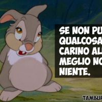 La saggezza di Tamburino