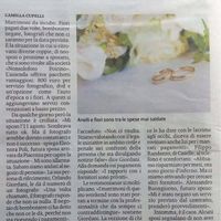 nonsolofotopoirino