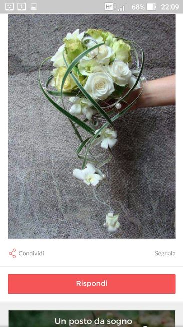 Questione  bouquet - 1