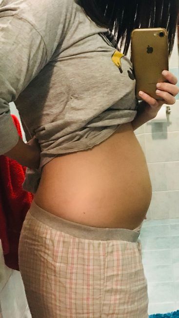 Pancino piccolo a 5 mesi di gravidanza? 7
