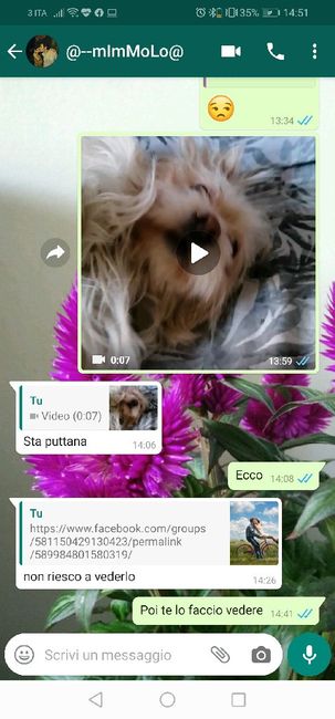 Condividi lo screenshot dell'ultimo messaggio che vi siete inviati - 1