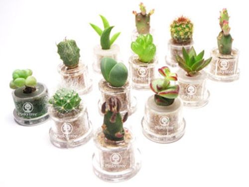 Le bomboniereeee - 1